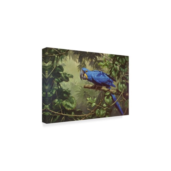 Michael Jackson 'Hyacinth Macaw' Canvas Art,22x32